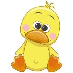 Cute Duckling Main Image