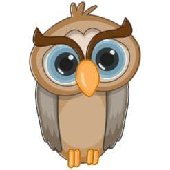 Owl-Main-Product-Image