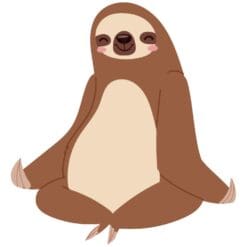Meditating-Sloth-Main-Product-Image
