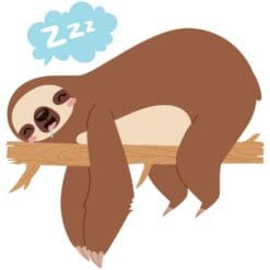 Sleeping-Sloth-Main-Product-Image