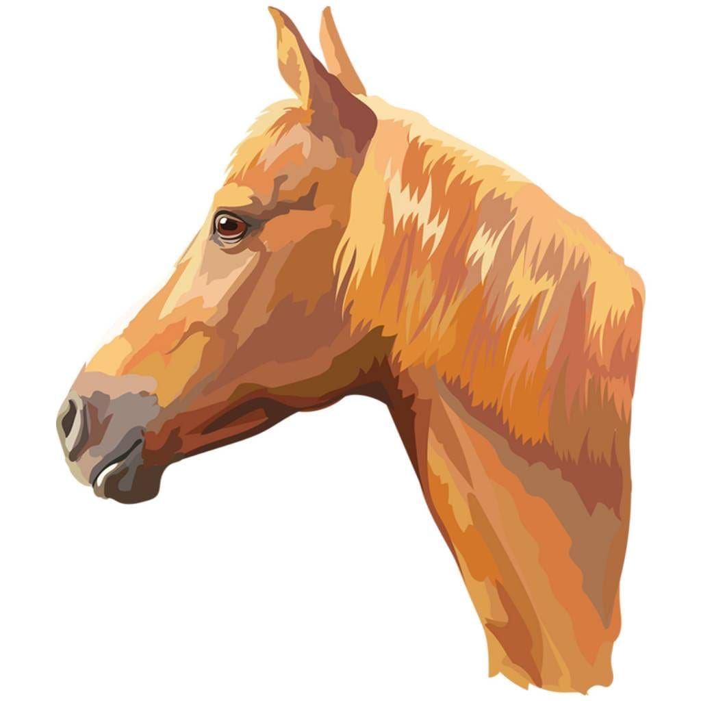 Horses Iron on Transfers GM Crafts