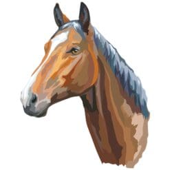 Horse-2-Main-Product-Image