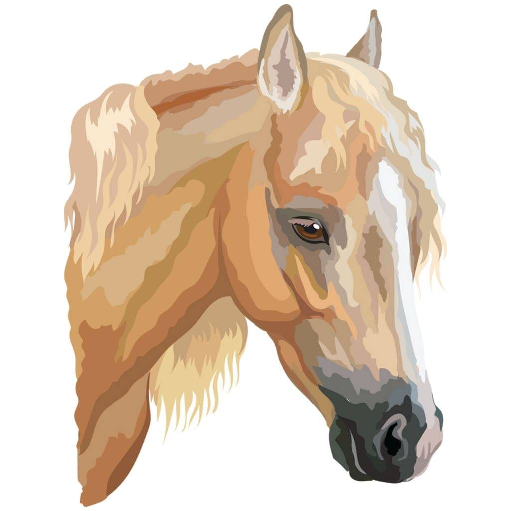 Horses Iron on Transfers GM Crafts