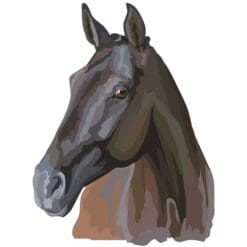 Horse-4-Main-Product-Image