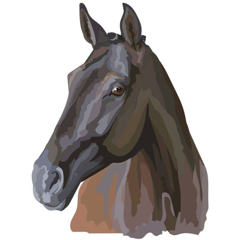 Horses Iron on Transfers GM Crafts