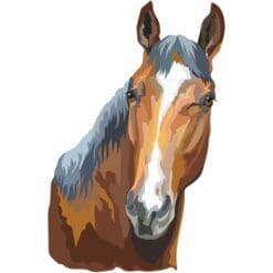 Horse-6-Main-Product-Image