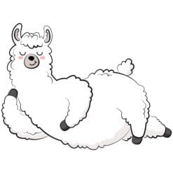 Lying-Llama-Main-Product-Image