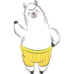 Pantaloon Llama Iron On Transfer