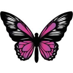 Butterfly-1-Main-Product-Image