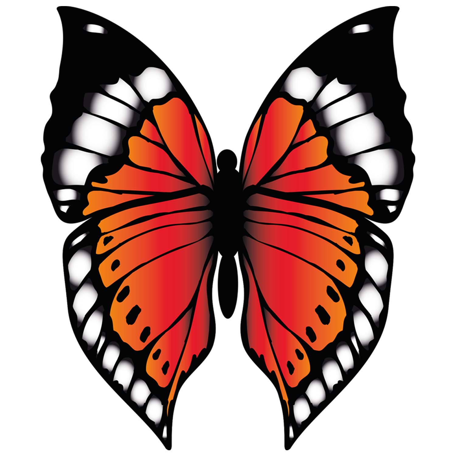 Butterfly-2-Main-Product-Image.