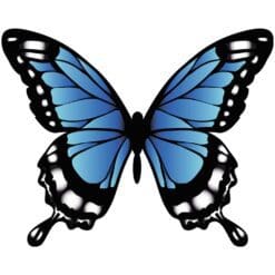 Butterfly-4-Main-Product-Image