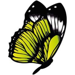 Butterfly-7-Main-Product-Image