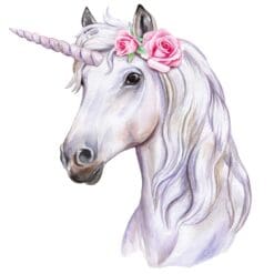 Unicorn-Main-Product-Image