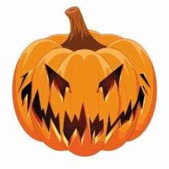 Pumpkin-2-Main-Product-Image