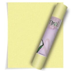 Lemon-Lime-Glitter-Tonal-HTV-From-GM-Crafts