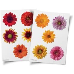 Flower-Mix-1-HTV-Transfers-From-GM-Crafts