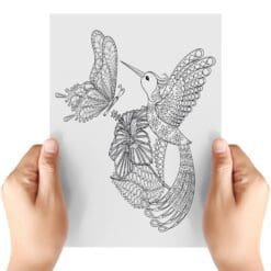 Humming-Bird-And-Rabbit-Sheet-A-Transfer-Doodle