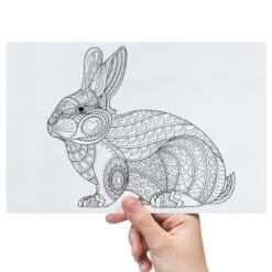 Humming-Bird-And-Rabbit-Sheet-B-Transfer-Doodle