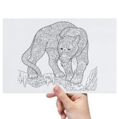 Lion-And-Leopard-Sheet-B-Transfer-Doodle