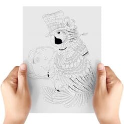 Parrot-And-Hedgehog-Sheet-B-Transfer-Doodle
