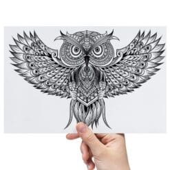 Skull-And-Owl-Sheet-A-Transfer-Doodle