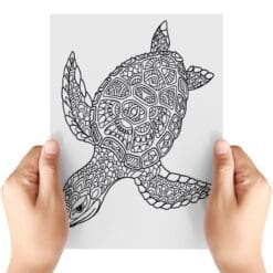 Turtle-And-Butterfly-Sheet-A-Transfer-Doodle