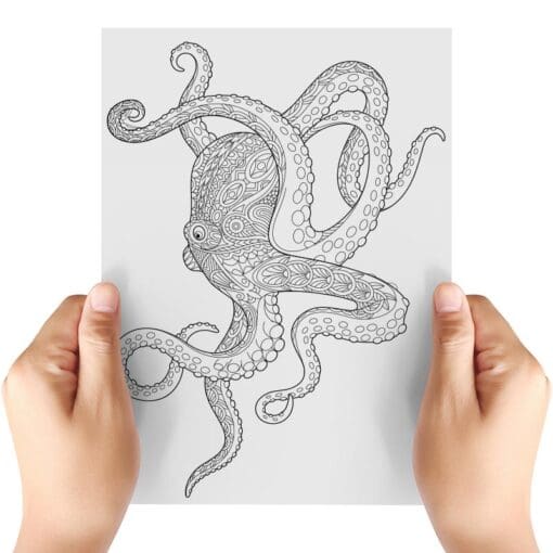 Shark-And-Octopus-Sheet-A-Transfer-Doodle