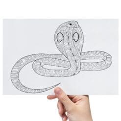 Snake-And-Lizard-Sheet-A-Transfer-Doodle