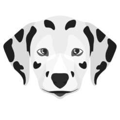 Dog 10 Iron On Transfer