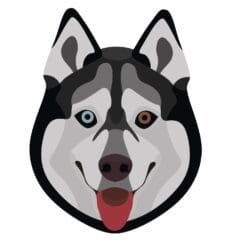 Dog 2 Iron On Transfer