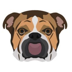Dog 4 Iron On Transfer