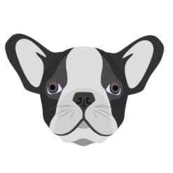 Dog 5 Iron On Transfer