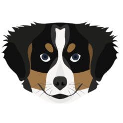 Dog 6 Iron On Transfer