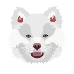 Dog 7 Iron On Transfer