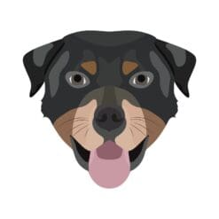 Dog 8 Iron On Transfer