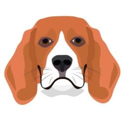 Dog 9 Iron On Transfer