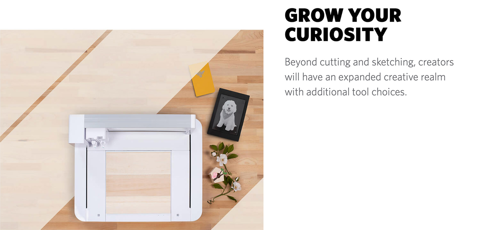 Silhouette-Curio-2-Grow-Your-Curiousity