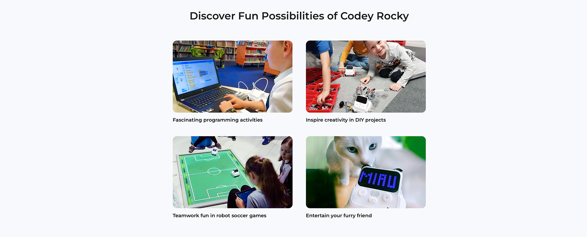 Codey-Rock-Fun-Possibilities