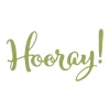 Sizzix Thinlits Die Set Grand Horray! (2pk)